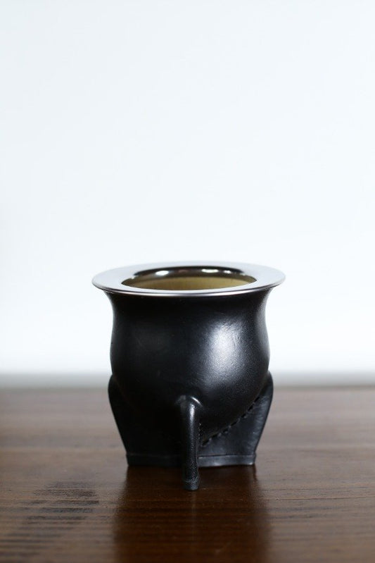 Mate Camionero
