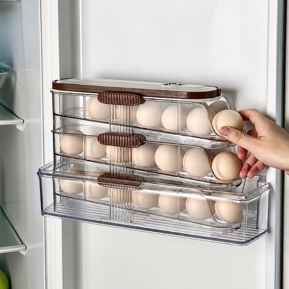 Kit de Organizadores de Huevos
